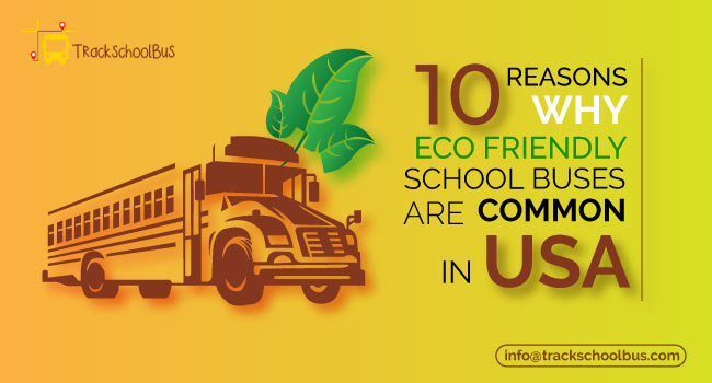 10 Reasons Why Eco Friendly School Buses Are Common In USA